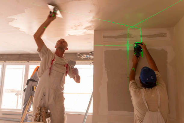 Best Ceiling Drywall Installation  in Heber Overgaard, AZ